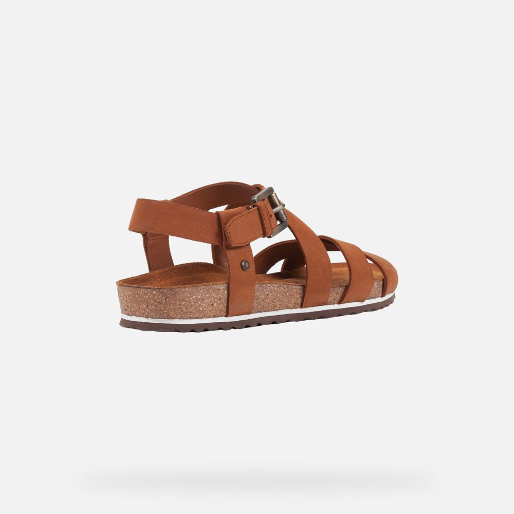 Geox Sandals Brown Spensierata - Geox Womens Shoes - NQCFYT263